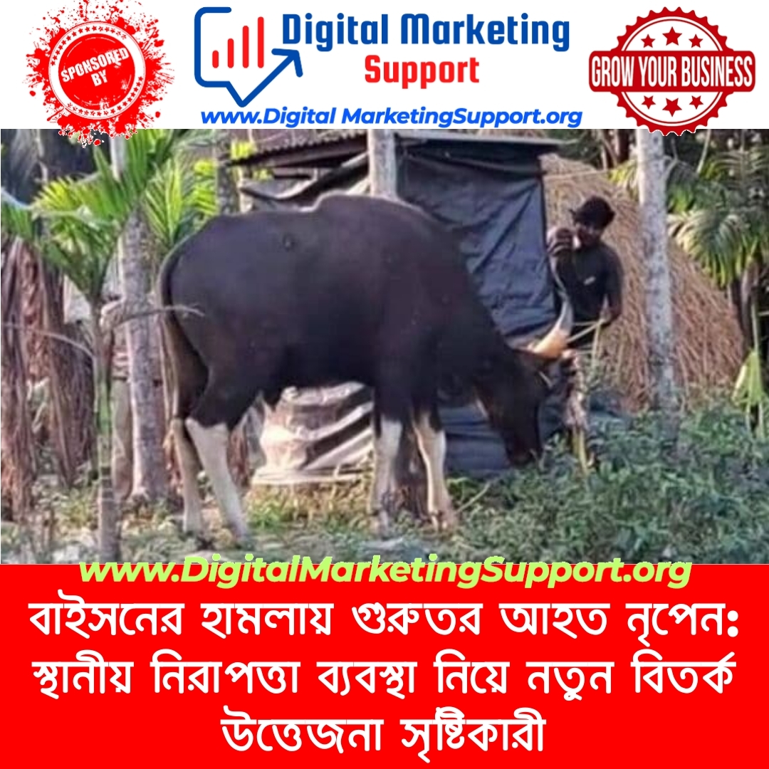 বাইসনের হামলায় গুরুতর আহত নৃপেন: স্থানীয় নিরাপত্তা ব্যবস্থা নিয়ে নতুন বিতর্ক উত্তেজনা সৃষ্টিকারী