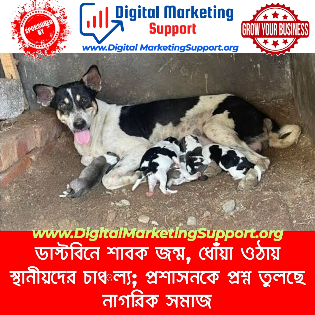 ডাস্টবিনে শাবক জন্ম, ধোঁয়া ওঠায় স্থানীয়দের চাঞ্চল্য; প্রশাসনকে প্রশ্ন তুলছে নাগরিক সমাজ