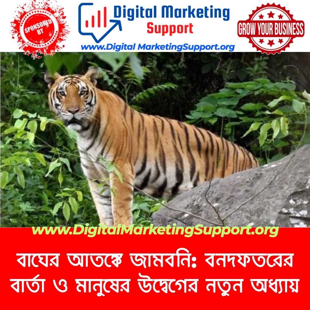 বাঘের আতঙ্কে জামবনি: বনদফতরের বার্তা ও মানুষের উদ্বেগের নতুন অধ্যায়